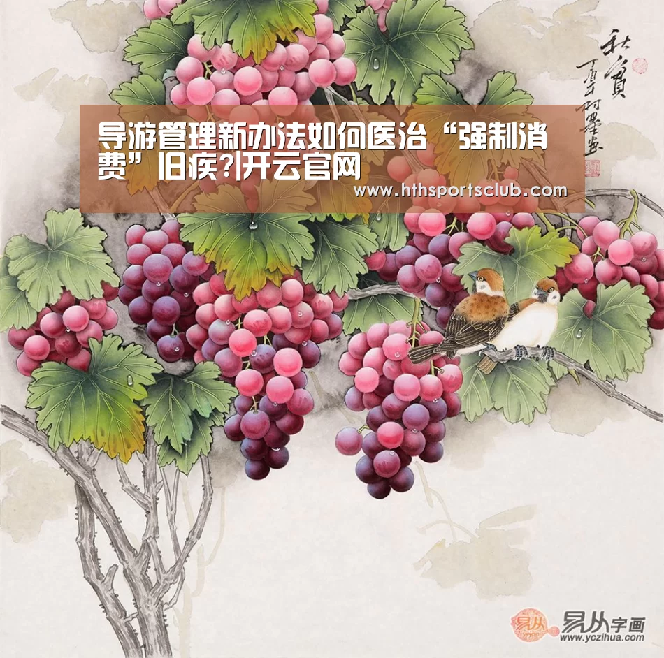 开云官网