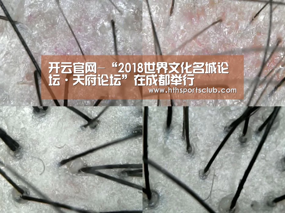 开云官网-“2018世界文化名城论坛·天府论坛”在成都举行(图1) 开云官网