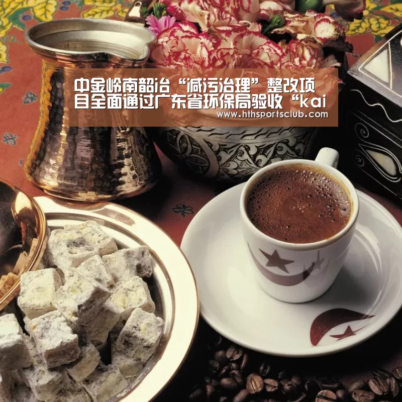 中金岭南韶冶“减污治理”整改项目全面通过广东省环保局验收“kaiyun”(图1) 开云中国