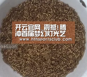 开云官网_震撼!腾冲首届梦幻灯光艺术节在原乡惊艳开幕(图2) 开云官网